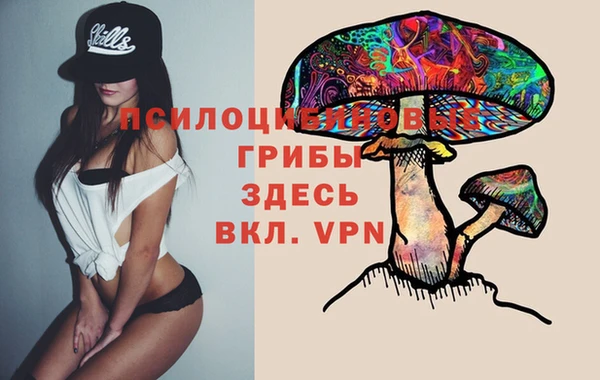 кокаин премиум Алексеевка