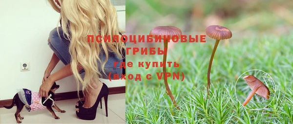кокаин премиум Алексеевка