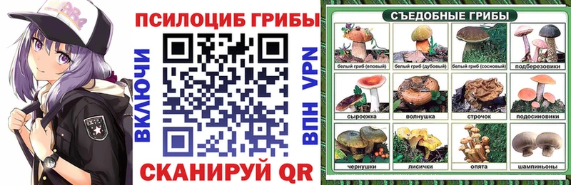 Псилоцибиновые грибы Cubensis купить наркотики цена Спас-Клепики