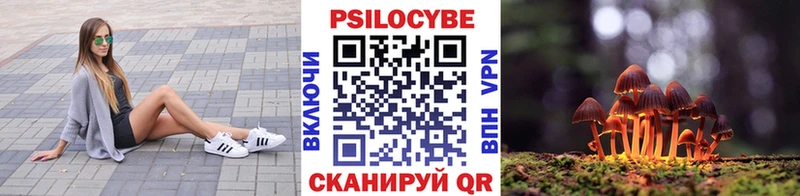 Псилоцибиновые грибы MAGIC MUSHROOMS Спас-Клепики